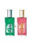 Mobile Preview: LR Jungle Parfum-Set Man & Woman Eau de Parfum 100 ml